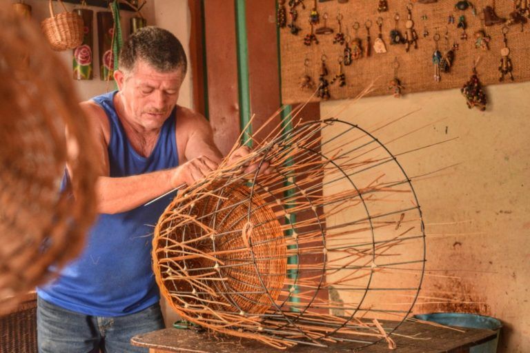 Cestería, el arte campesino que se teje en Filandia, Quindío