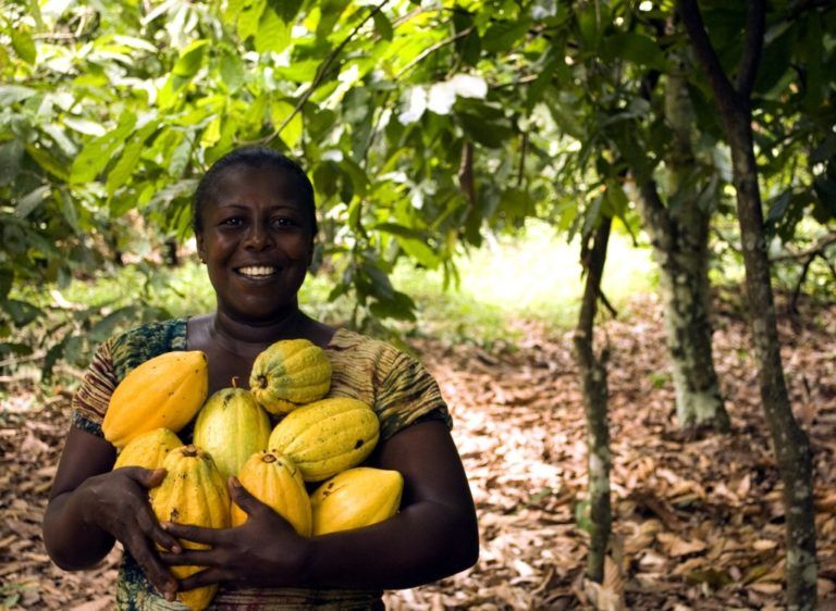 Tumaco, Nariño, recupera territorios con cultivos tradicionales