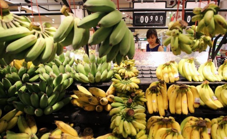 China aumentará importación de bananos colombianos a su país