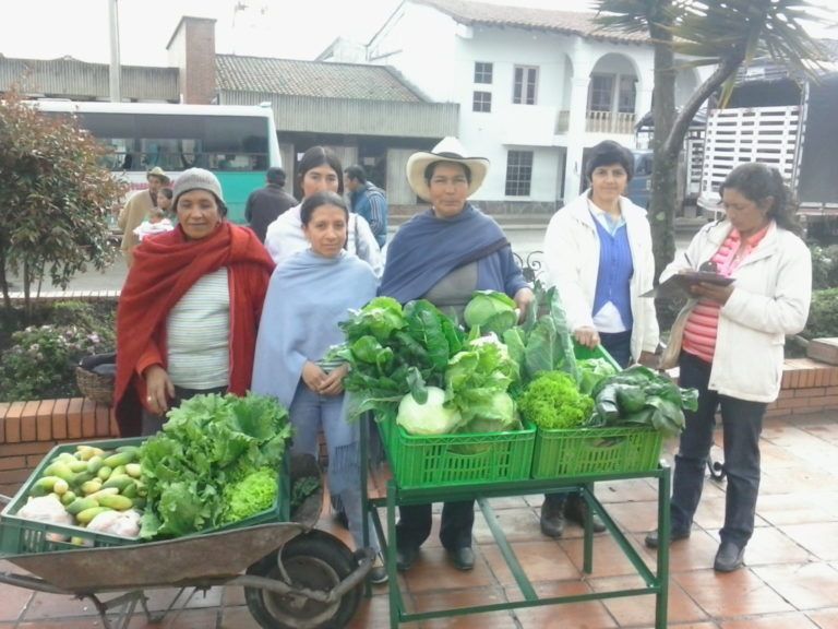 Campesinos de Mongua, Boyacá, cuidan los páramos con proyectos sostenibles
