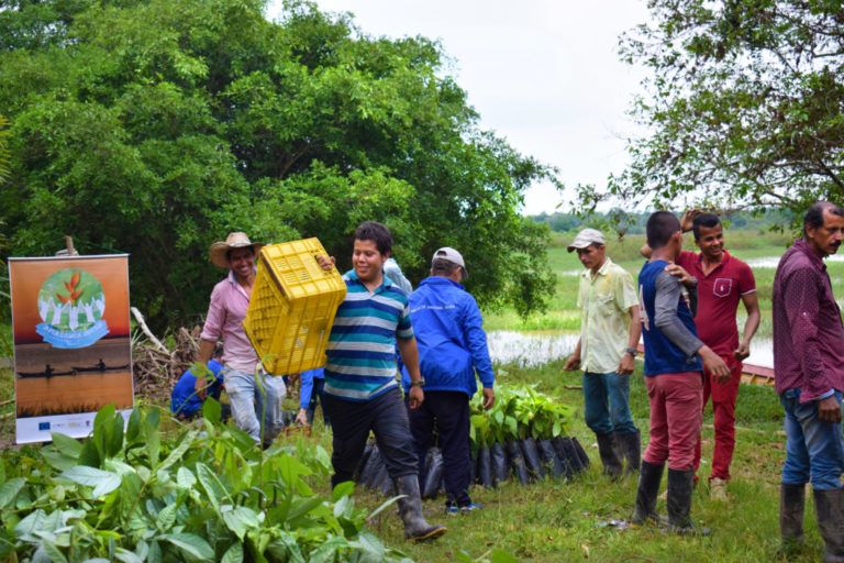 Cien familias en Caquetá le dicen no a la deforestación gracias al proyecto Amazonía Joven