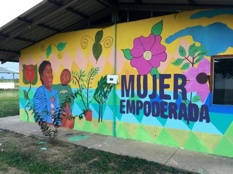 Primer proyecto productivo liderado por mujeres excombatientes en Antioquia
