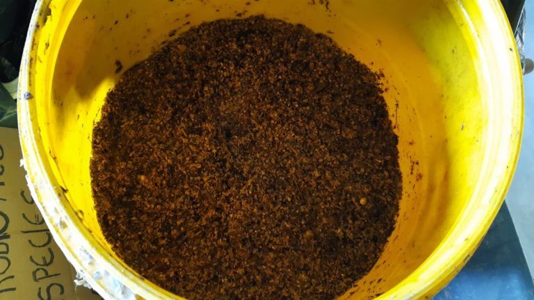 Cómo preparar alimento probiótico para las especies menores de la finca