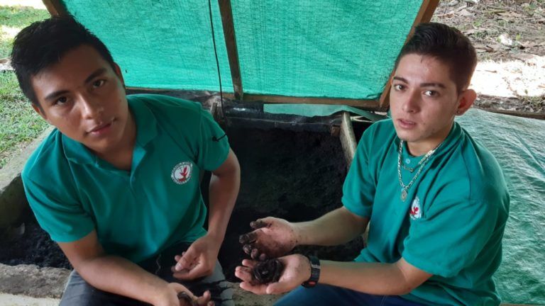 Cultivar lombriz de tierra, un negocio rentable en el campo