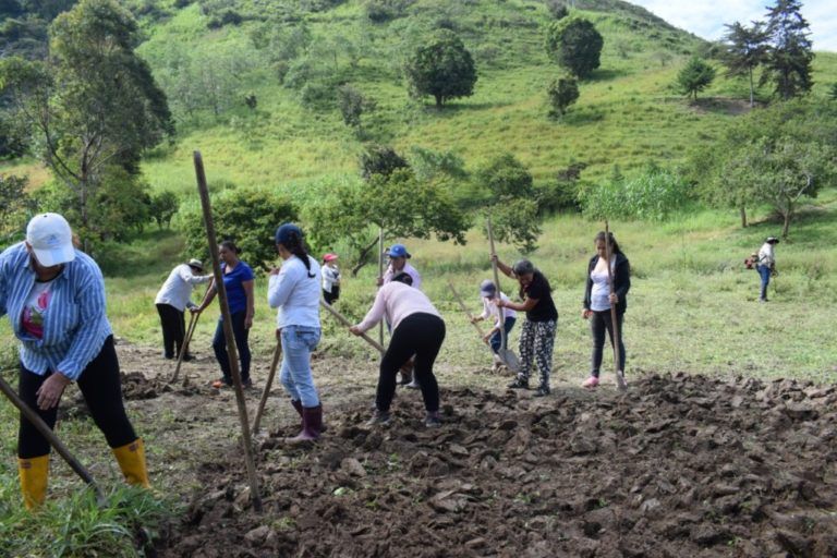 Carta del Campo:  El acompañamiento de la FAO en Garagoa, Boyacá