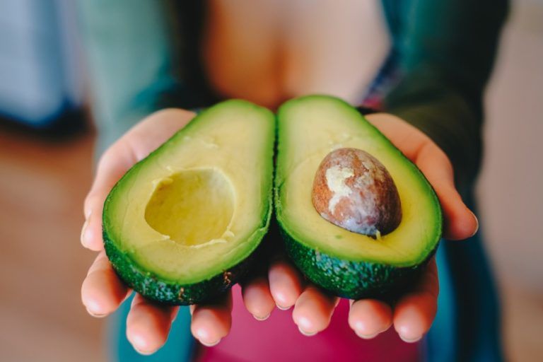 El Congreso Mundial de Aguacate se toma Medellín