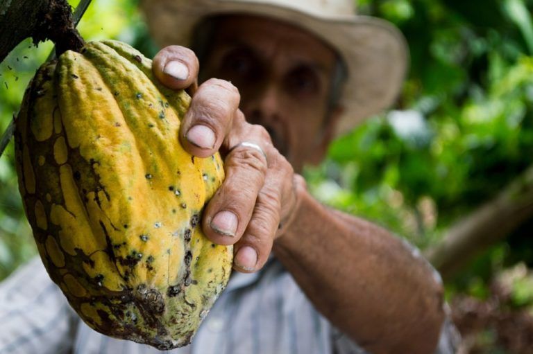 Avanzar en la sostenibilidad, el reto de la Cumbre de Acción Climática