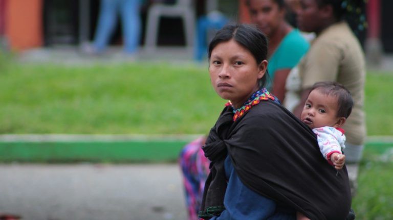 Chagras de Putumayo, saberes y tradiciones como memoria biocultural