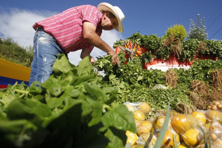 Medellín como Ciudad Transformadora por su producción agroecológica