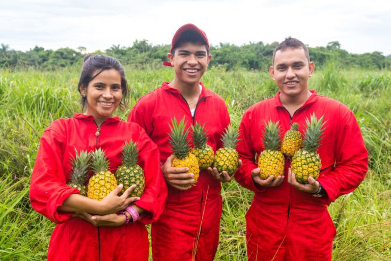 En marcha un programa de becas para jóvenes campesinos en Casanare
