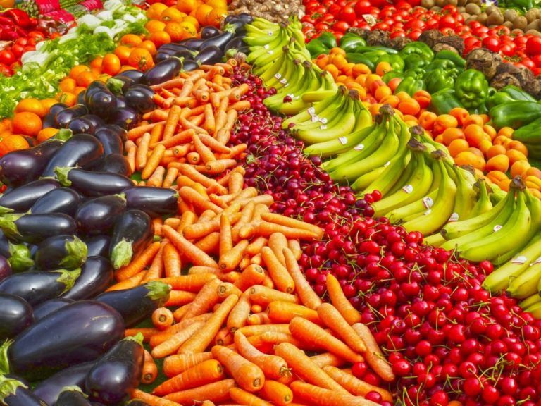 El Día Mundial de la Alimentación, la lucha por el hambre y la obesidad