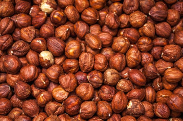 Los alimentos más sanos