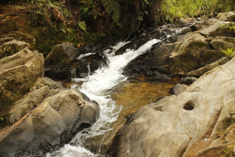 Carta del Campo: Limpieza de la quebrada El Piojo