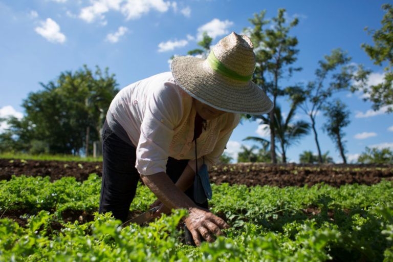 Agroecología como alternativa para prevenir las heladas en el país
