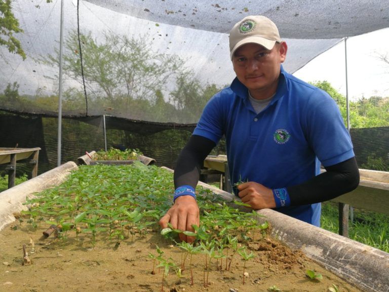 La séptima edición de los Premios Latinoamérica Verde ya arrancó