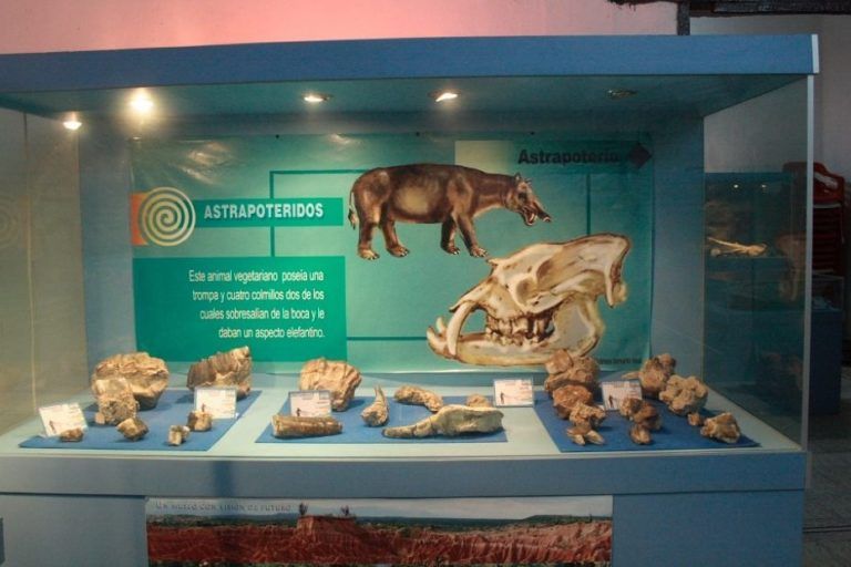 El museo que conserva los  tesoros paleontológicos de La Tatacoa