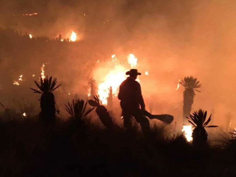 Continuos incendios afectan gravemente el Páramo de Sumapaz