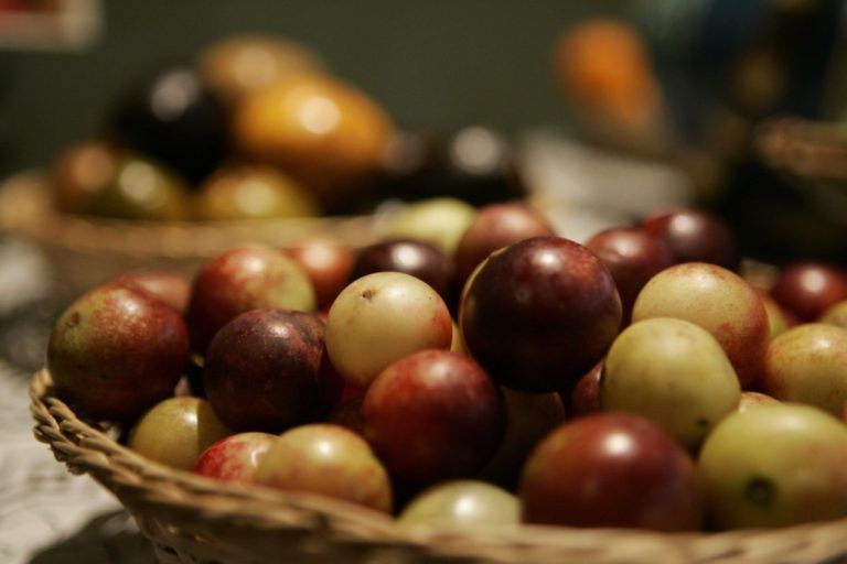La riqueza exótica que esconden los frutos amazónicos