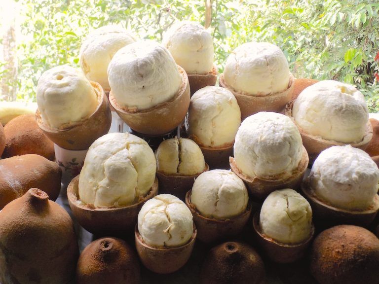 Un viaje por Colombia a través de sus frutas más representativas