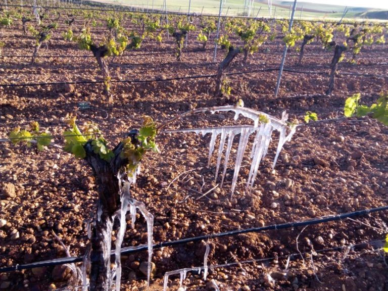 Radio Mundo Rural: Impacto de las heladas en la producción de alimentos