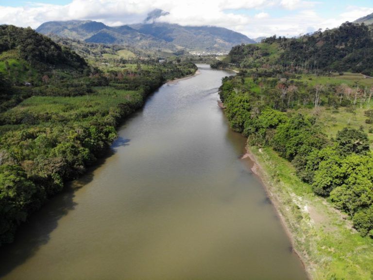 Opinión: Nuestra Amazonía: ¿Aún es posible salvarla?