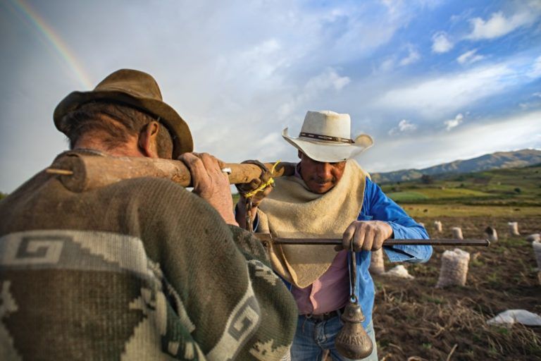 El campo colombiano y su misión de llevar alimento a todo el país