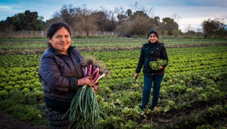 Un llamado mundial por los derechos humanos de las mujeres