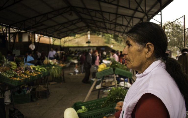 La historieta como símbolo de lucha entre las mujeres campesinas