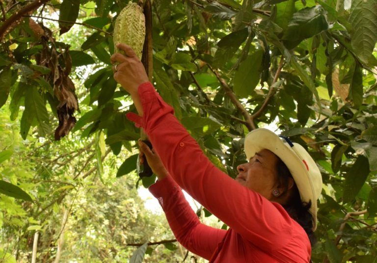 Tecnología al servicio del campo durante el Covid-19