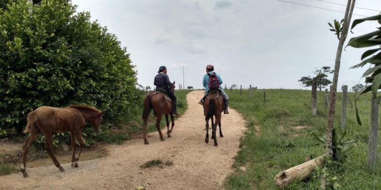 ¡A ensillar el caballo!  La travesía de tres niños caqueteños para ir a estudiar