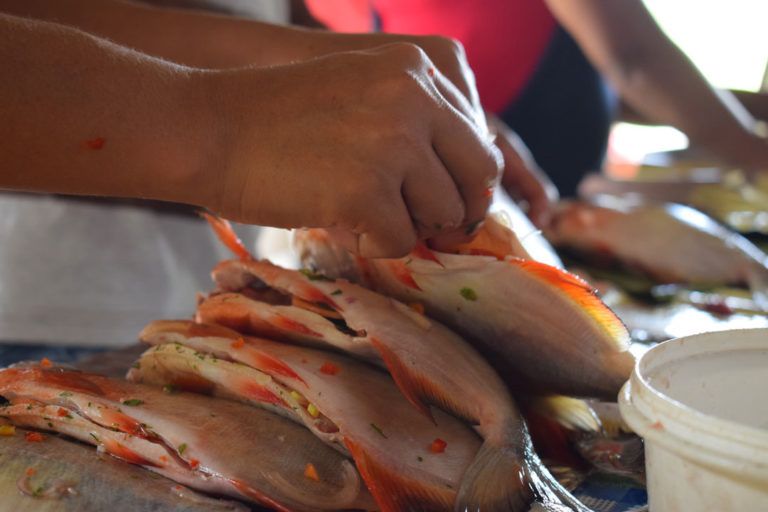 En Puerto Guzmán se deleitan con recetas saludables
