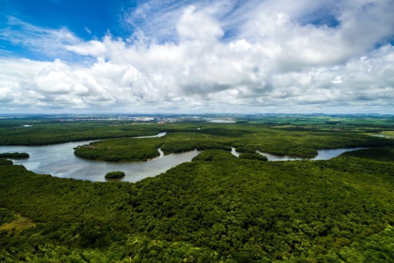 Opinión: Apuntes sobre el Sínodo por la Amazonía