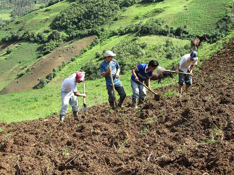 A Tres Años De La Firma Del Acuerdo De Paz, La Reforma Rural Integral ...