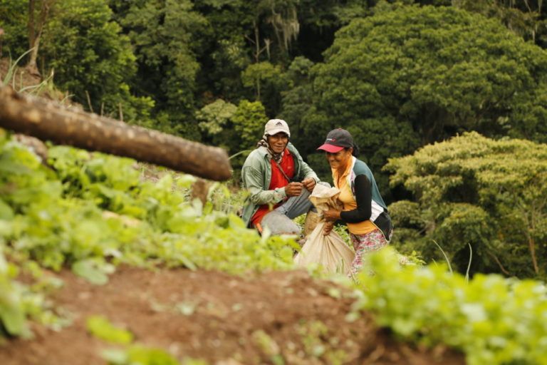 Los desafíos globales de alimentación y acceso a la tierra