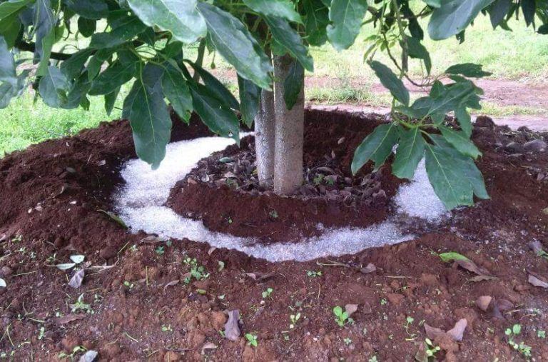 Lluvia sólida: una nueva forma de riego para la agricultura