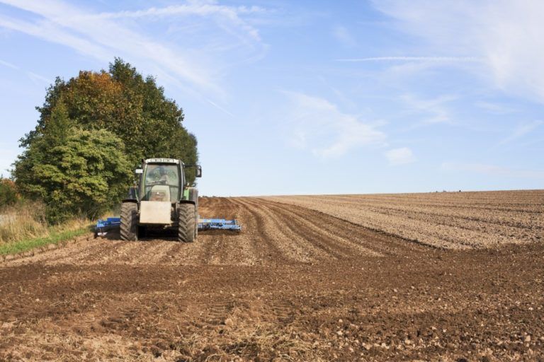 Radio Mundo Rural: Oportunidad para el agro en medio del Covid-19