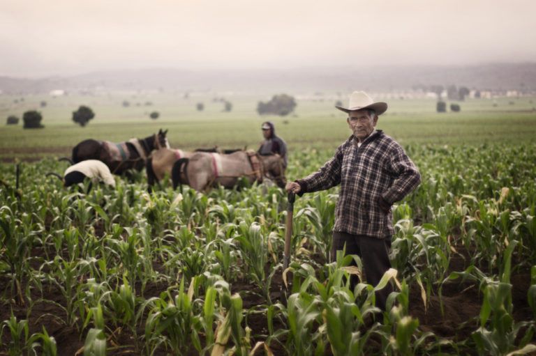 Finagro y el financiamiento de productores colombianos