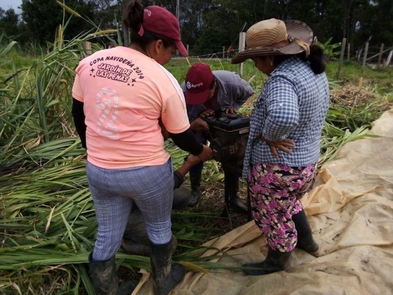 Las Redes Solidarias del Común que se tejen entre el campo y ciudad