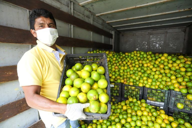 18 países adelantan protocolo para prevenir el COVID 19 en sector agropecuario
