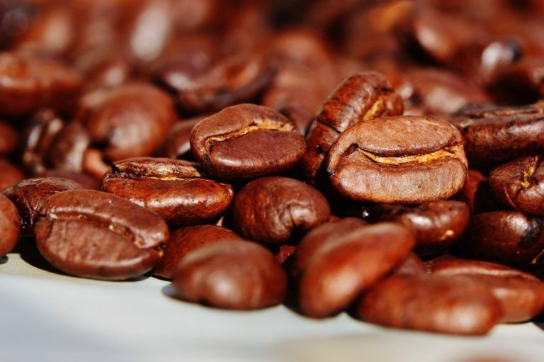 Frutotrading: un proyecto productivo de café, cacao y coco