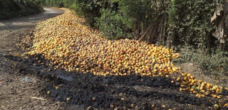 Mundo Rural: por pérdidas de cosechas campesinos piden ayuda al Gobierno