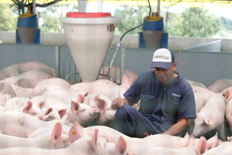 3 oportunidades de educación agropecuaria para productores