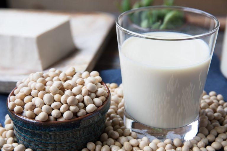 ¡A comer soya! recetas fáciles y deliciosas para consumir esta legumbre