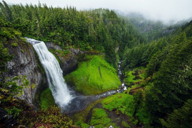 Colombia: Anfitrión del Día Mundial del Medio Ambiente 2020