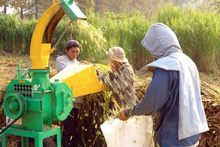 Conozca las ayudas y subsidios que tiene el Gobierno Nacional para el campo colombiano