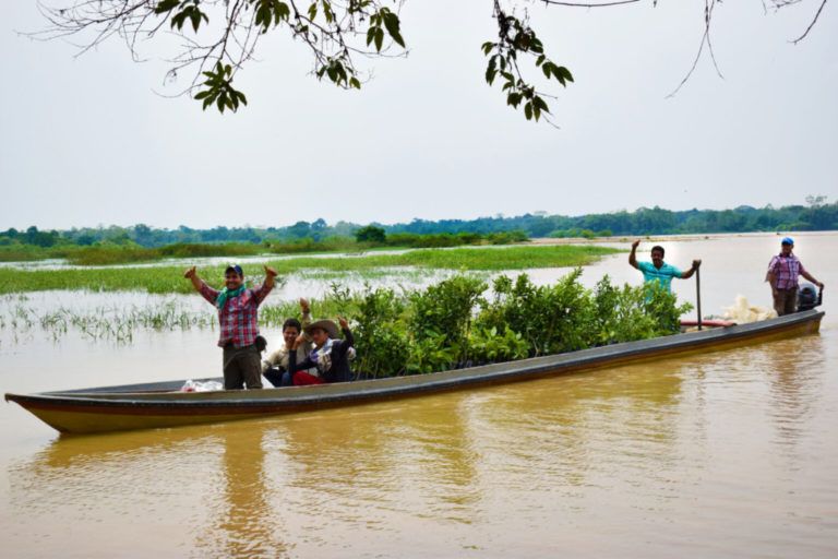 Campesinos de Caquetá lanzan vaca virtual por la Amazonía