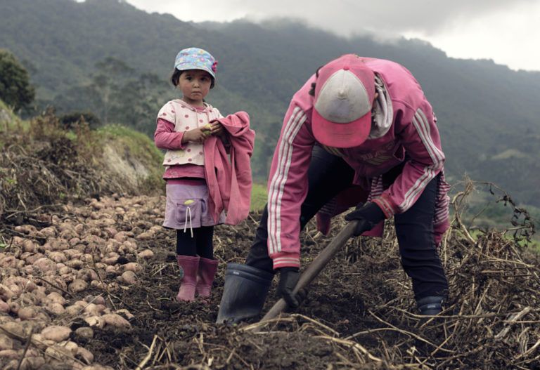 Alianza del Gobierno con gremios agro beneficiará a más de 260 mil mujeres rurales