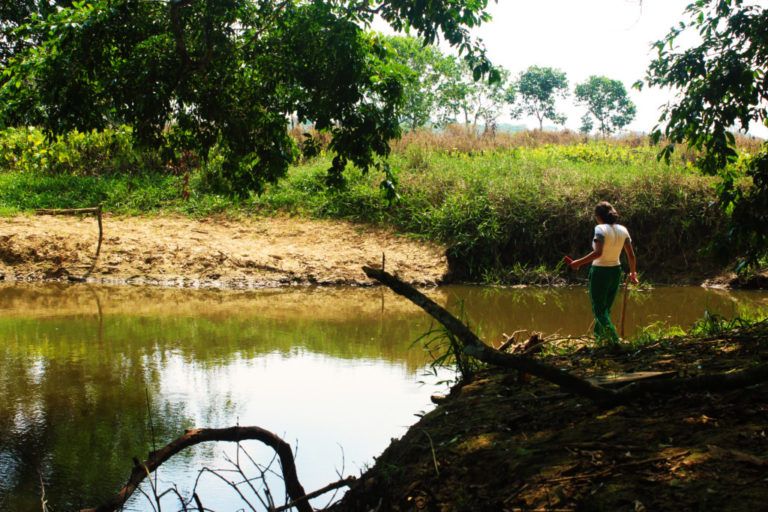 Jóvenes rurales preservan el río Caguán y se forman como líderes educativos en Caquetá