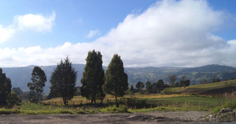Carta del campo: El cuidado del medio ambiente en época de COVID-19