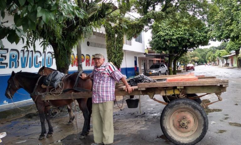 Carta del campo: “El Indio” un equino amigo y compañero de trabajo